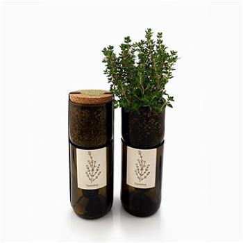 Grow Bottle - Tymián (GBOTTLE-THYME)