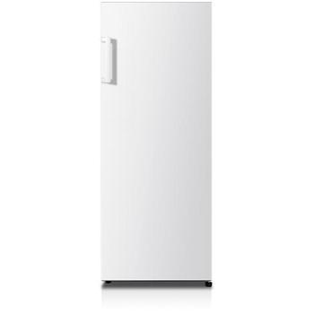 HISENSE FV206D4AW1 (FV206D4AW1)