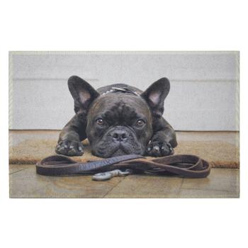 Podlahová rohožka s buldočkem French Bulldog - 75*50*1cm RARMHFB