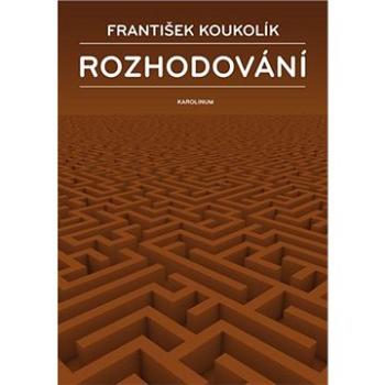 Rozhodování (9788024633831)