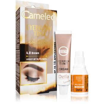 Delia Cosmetics Cameleo krémová profesionální barva na obočí bez amoniaku odstín 4.0 Brown 15 ml