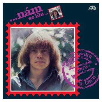 Jiří Schelinger - Nám se líbí (Vinyl LP)