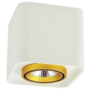 LED Bodové svítidlo XENO LED/10W/230V bílá 800lm (107288)