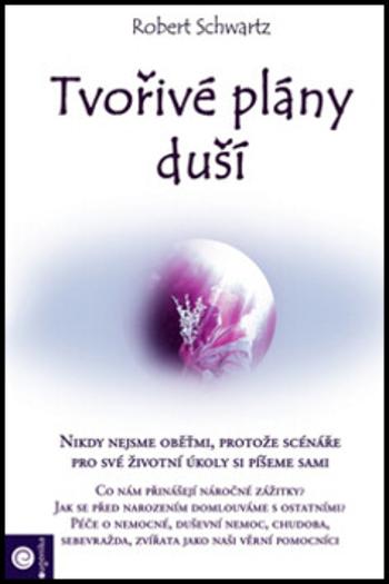 Tvořivé plány duší - Robert Schwartz