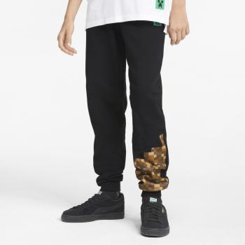 PUMA x MINECRAFT Sweatpants Kids Puma Bl 116