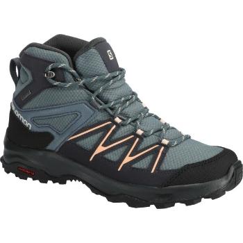 Salomon DAINTREE MID GTX W Dámská turistická obuv, šedá, velikost 37 1/3