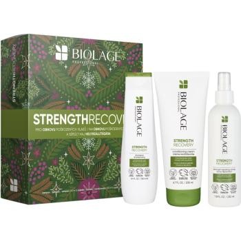 Biolage Strength Recovery dárková sada pro poškozené vlasy