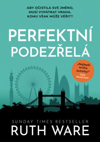 Perfektní podezřelá - Ruth Ware - e-kniha