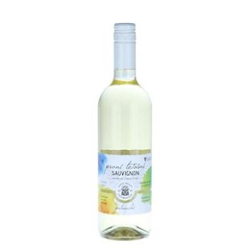 VINNÉ SKLEPY LECHOVICE První letošní Sauvignon 2022 0,75l 11,5% (8594009316405)