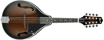 Ibanez M510 A Dark Violin Sunburst