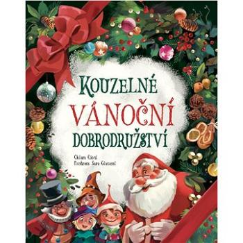 Kouzelné vánoční dobrodružství (978-80-7451-766-2)