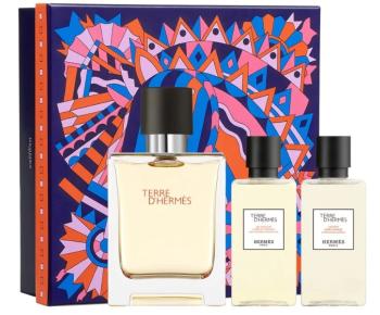 Hermes Terre D´ Hermes - EDT 50 ml + sprchový gel 40 ml + voda po holení 40 ml