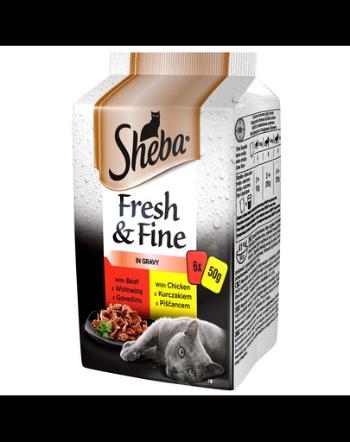 SHEBA Fresh &amp; Fine in sauce Hrana umeda cu pui, vită, rață pentru pisici adulte 72 x 50g