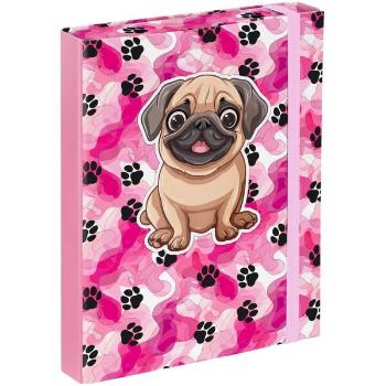 BAAGL PAWS Füzettartó box  A5, rózsaszín, méret