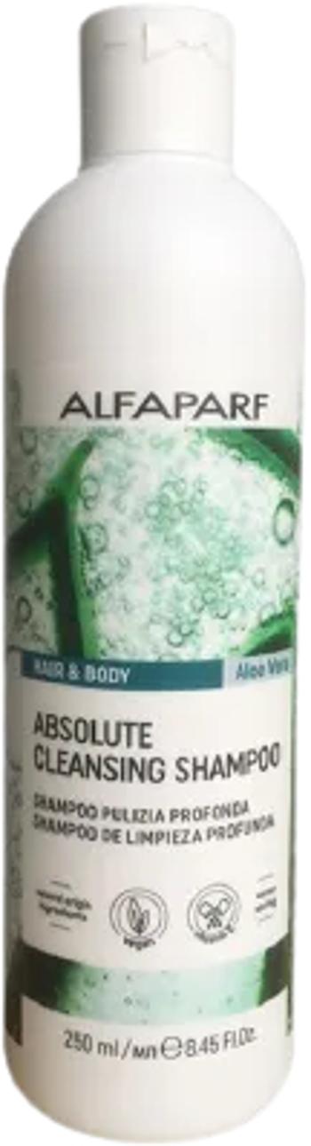 Alfaparf Milano Čisticí šampon Hair & Body Absolute (Cleansing Shampoo) 250 ml