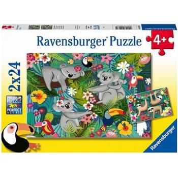 Ravensburger puzzle 051830 Koaly a lenochodi 2x24 dílků  (4005556051830)