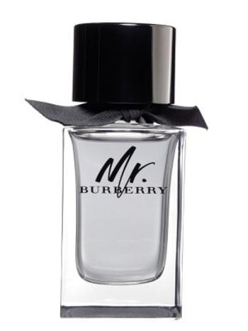 Burberry Mr. Burberry - EDT 150 ml