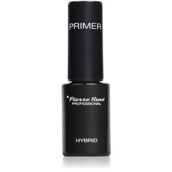 Pierre René Nails Hybrid přípravek k odmaštění a vysušení nehtu 6 ml