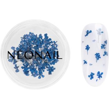 NEONAIL Dried Flowers sušený květ na nehty odstín 04 Navy 1 ks