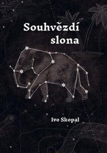 Souhvězdí slona - Skopal Ivo