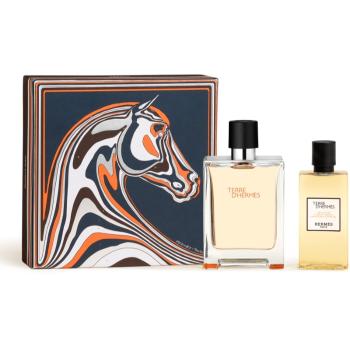 HERMÈS Terre d’Hermès Set dárková sada pro muže