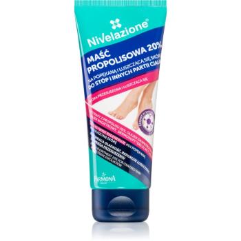 Farmona Nivelazione Feet regenerační mast na popraskaná chodidla 75 ml