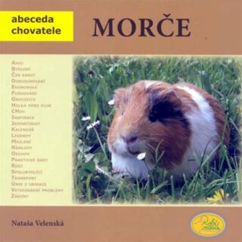 Morče - Abeceda chovatele - Nataša Velenská