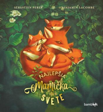 Najlepšia mamička na svete - Sébastien Perez, Benjamin Lacombe