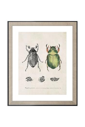 fali dekoráció keretben 40 x 50 cm