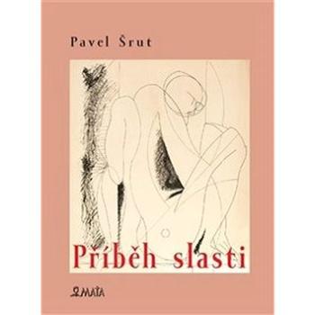 Příběh slasti (978-80-7287-236-7)