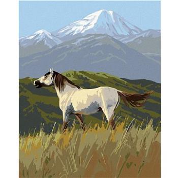 Zuty - Malování podle čísel – DÍVOKÝ KŮŇ MUSTANG A HORY (JAMES HAUTMAN), 80x100 cm, vypnuté plátno n (HRAmmb04955nad)