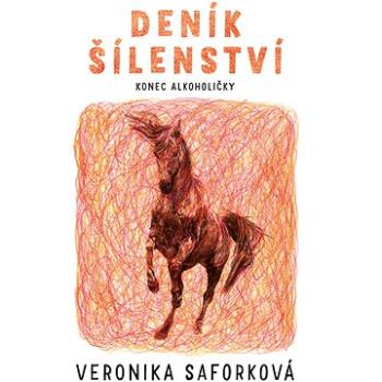 Deník šílenství (978-80-277-0273-2)