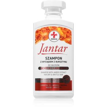 Farmona Jantar Medica intenzivní vyživující šampon na suché vlasy 330 ml