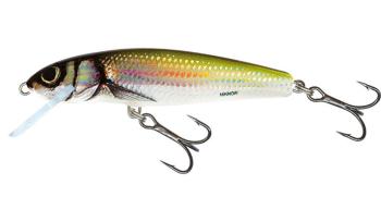 Salmo Wobler Minnow Floating 7cm - Holo Bleak