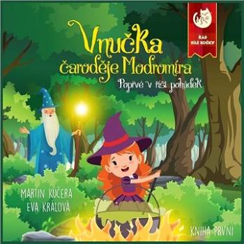 Vnučka čaroděje Modromíra - Poprvé v říši pohádek ()