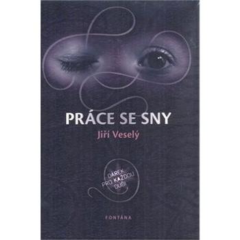 Práce se sny: Dárek pro každou duši (978-80-7336-659-9)