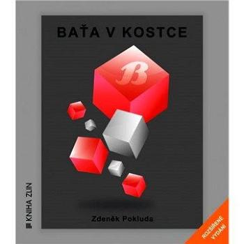 Baťa v kostce (978-80-747-3170-9)