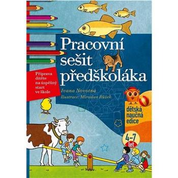 Pracovní sešit předškoláka: Příprava dítěte na úspěšný strt ve škole, 4-7 let (978-80-266-1840-9)