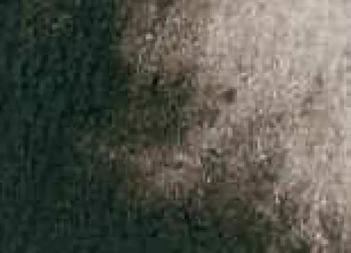 Akvarelová barva DS 15ml – 110 van Dyck Brown