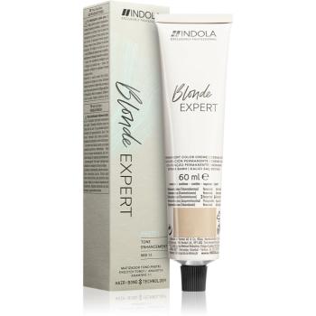 Indola Blond Expert Pastel tónovací barva na vlasy odstín P.27 60 ml