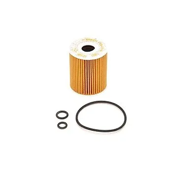 BOSCH Olejový filtr F 026 407 144 (F026407144)