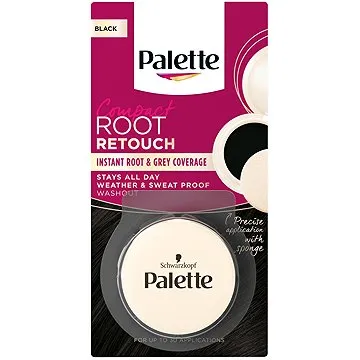 SCHWARZKOPF PALETTE Root Retouch Černý 3 g (9000101663655)