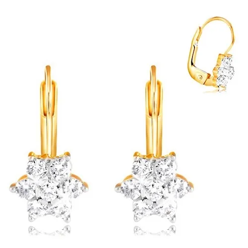 Zlaté náušnice 585 - třpytivý květ z kulatých čirých zirkonů