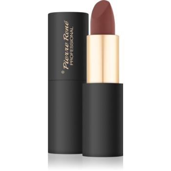 Pierre René Satin Pure dlouhotrvající rtěnka s matným efektem odstín no.06 Vivian 4.8 g