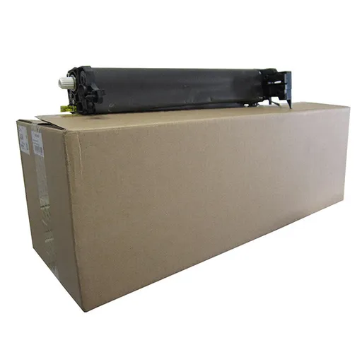 RICOH D1442251 - originální