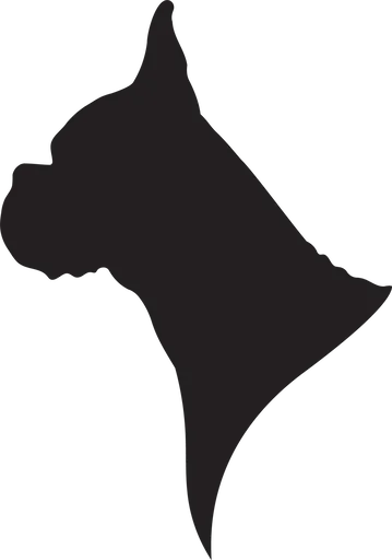 Vsepropejska Boxer 2 dřevěná dekorace na zeď Rozměr (cm): 38 x 27