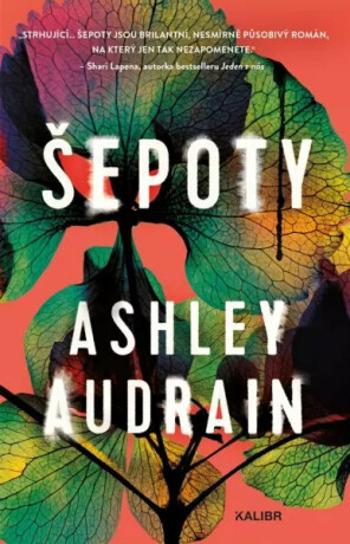 Šepoty - Ashley Audrain