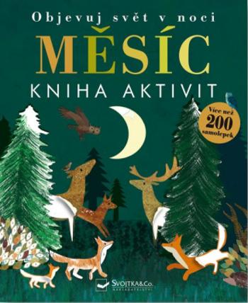 Měsíc - Kniha aktivit - Britta Teckentrupová, Beth Hamilton