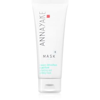 Annayake Mask+ Detoxifying and Purifying regenerační a detoxikační maska 75 ml