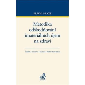 Metodika odškodňování i materiálních újem na zdraví (978-80-7400-280-9)